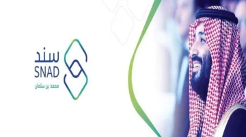 فرصتك الذهبية دلوقتي! اعرف خطوات التقديم في برنامج ساند 1447 وشروط القبول للعاطلين عن العمل بسهولة وبساطة